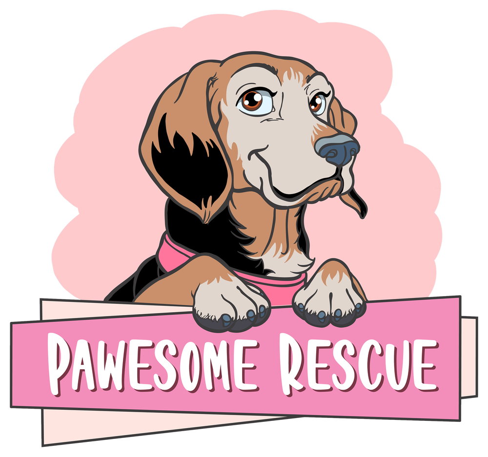 Pawesome Rescue